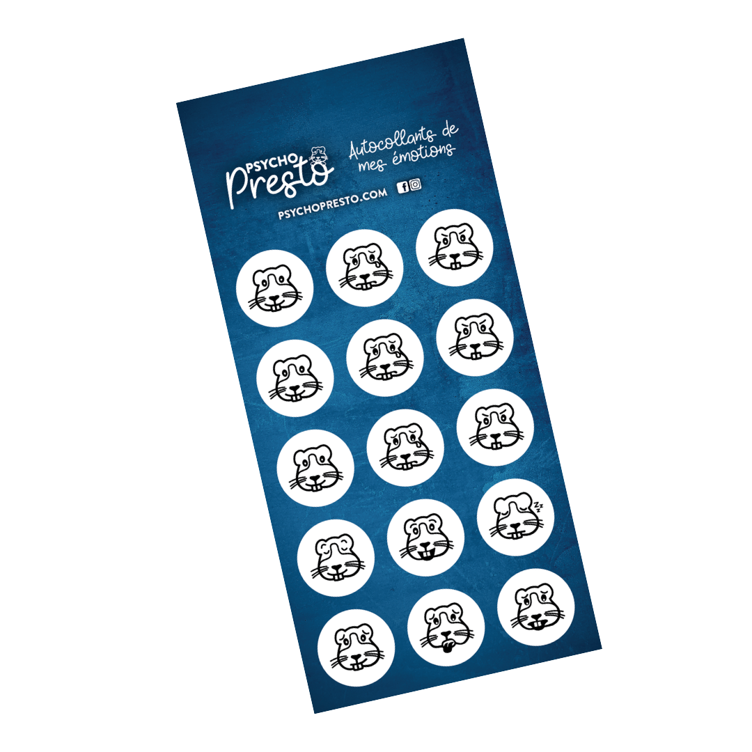 Feuille d'autocollants Mes émotions