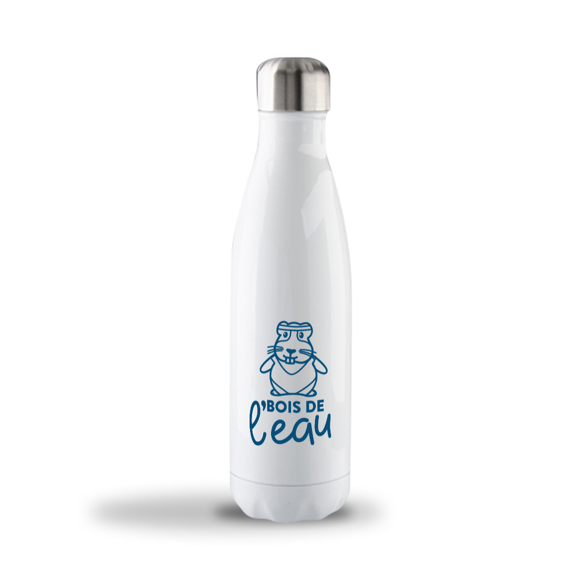 Bouteille d'eau 17oz Stainless